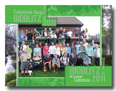 bioblitz